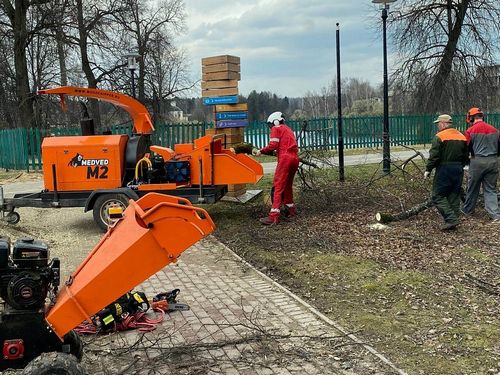  Выбор измельчителя садовой ветви 